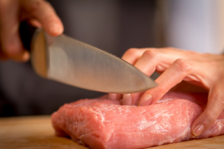 Nazis Tefal Ice Force Nerūsējošā tērauda 20 cm