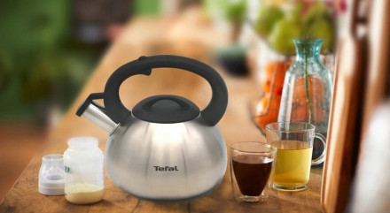 Nerūsējošā tērauda tējkanna Tefal Supor 2,5 l