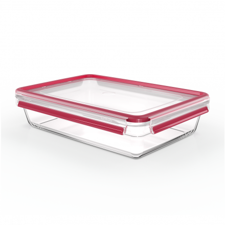 Trauks Tefal Masterseal 3,0 l