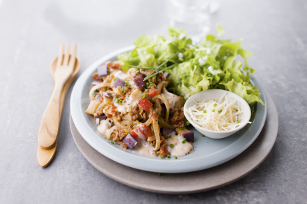 Gaļas maļamā mašīna Tefal HV1