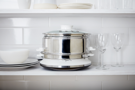 Tvaicētājs Tefal Convenient INOX