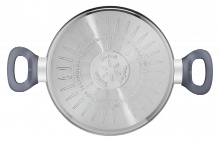 Katls ar vāku Tefal Daily Cook 20 cm