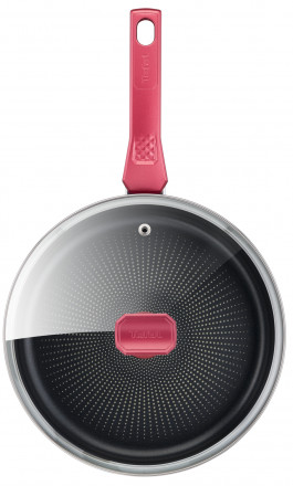 Panna ar vāku Tefal Daily Chef 24 cm