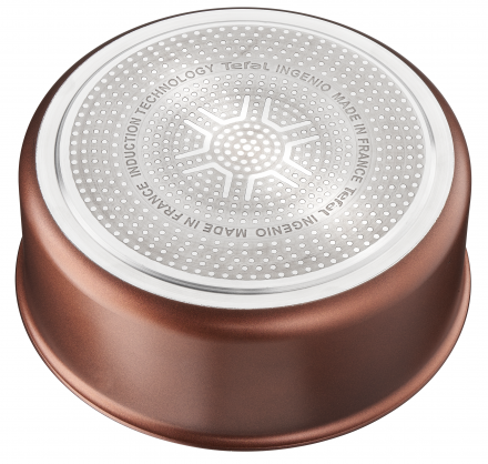 Katls Tefal Ingenio Resource 22 cm