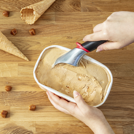 Saldējuma karote Tefal Ingenio